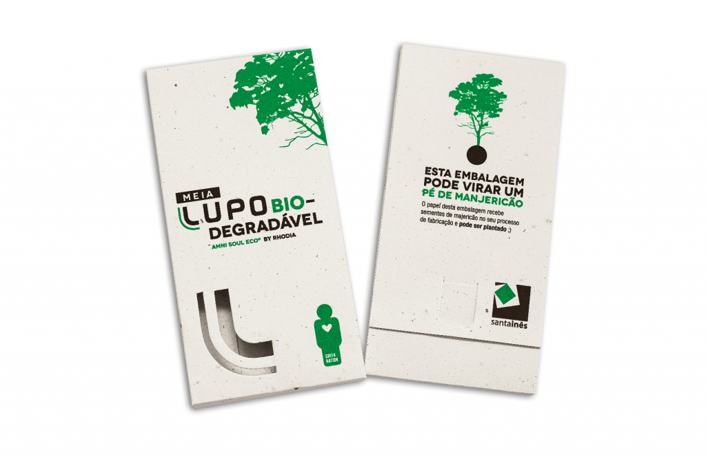 Upcycling | Papel Plantável: Saiba o que você pode plantar com o Papel Semente
