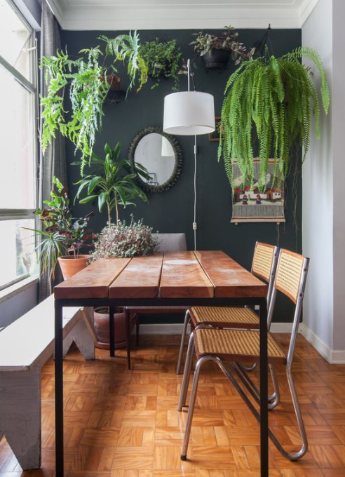 20 ideias de decoração com plantas naturais para te inspirar