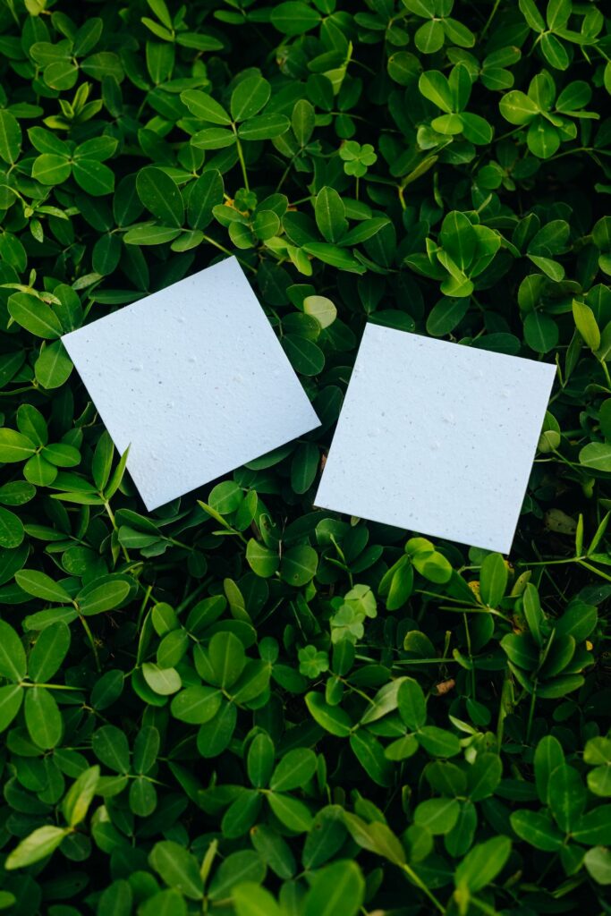 cartão de páscoa sustentável