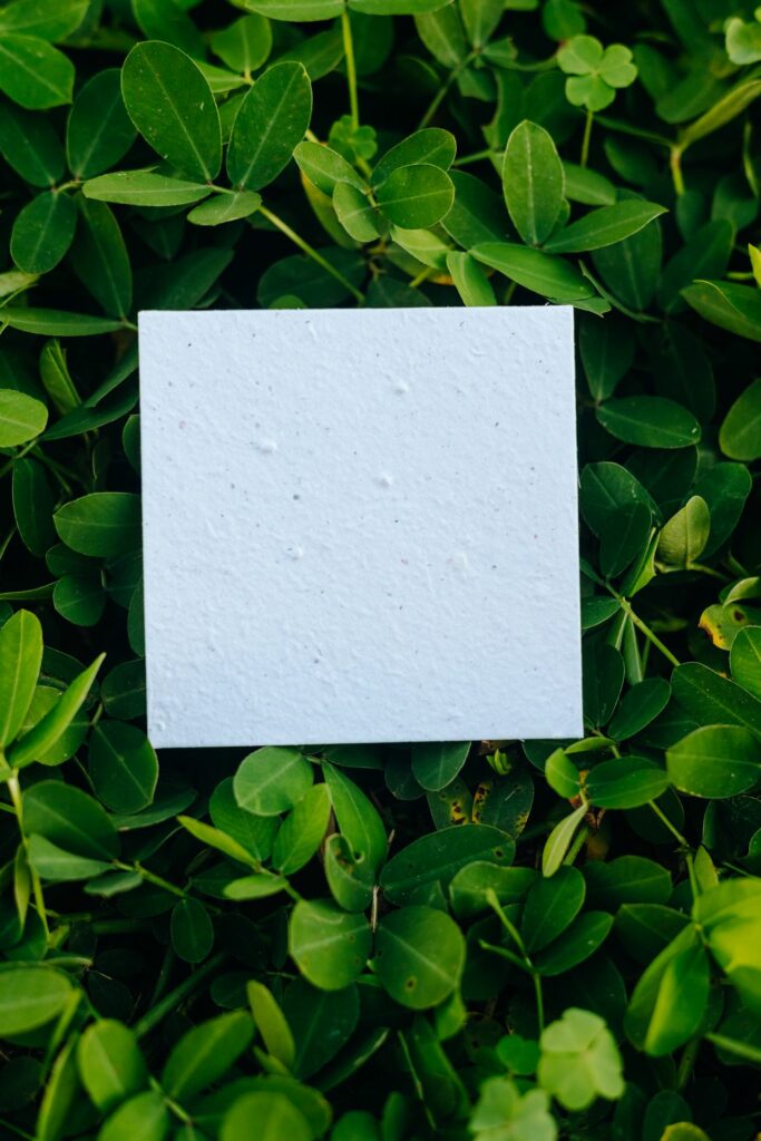 cartão de páscoa sustentável