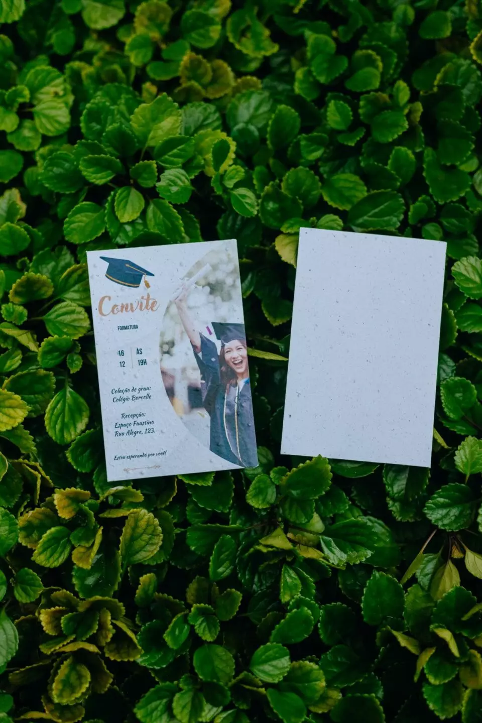 Agradecimento Convite de Formatura Ecológico | Papel Semente