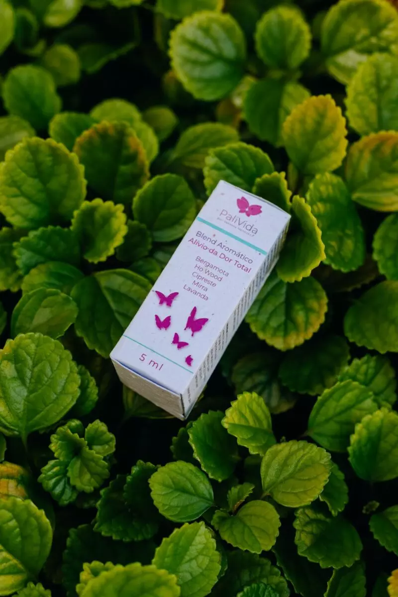 Caixa para Batom Ecológica | Papel Semente