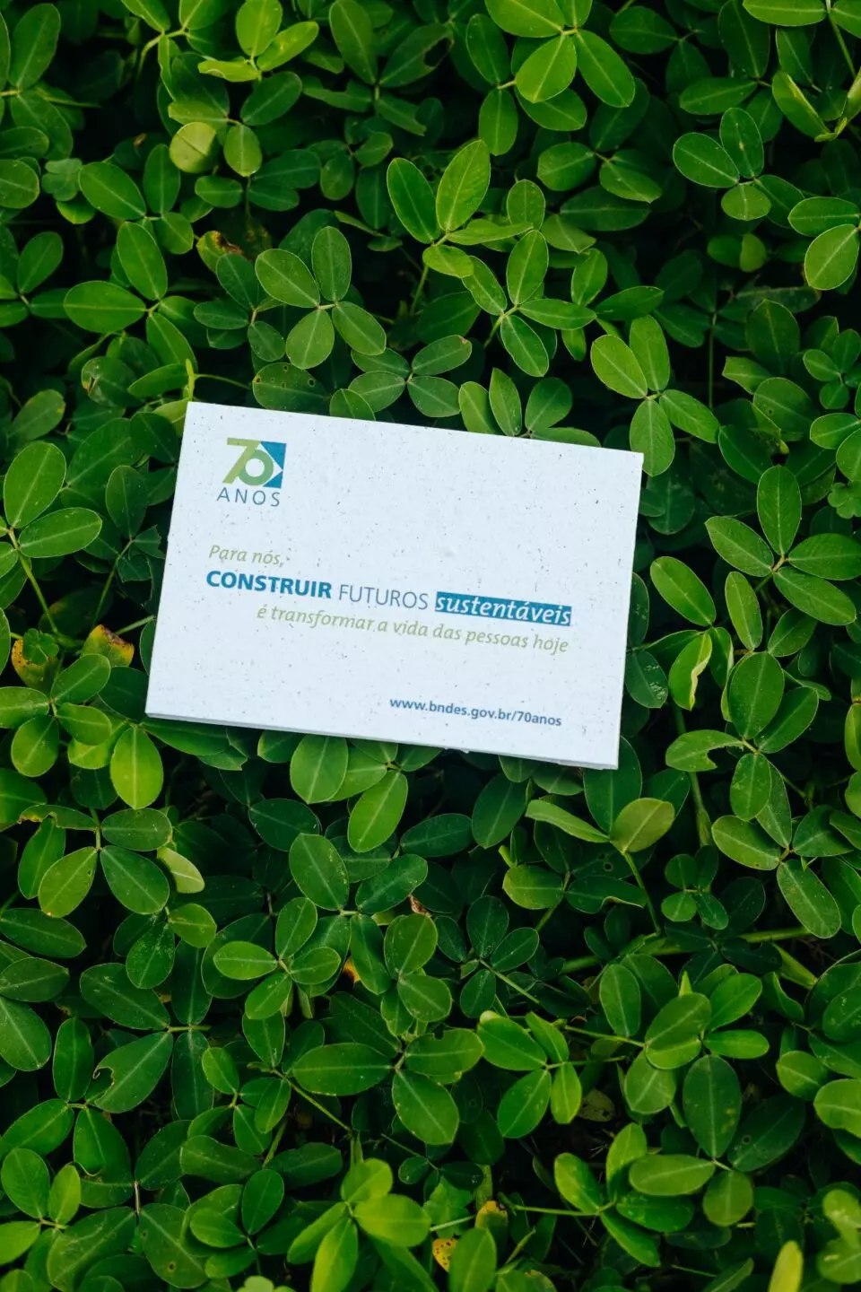 Cinta de Papel para Embalagens Ecológicas | Papel Semente