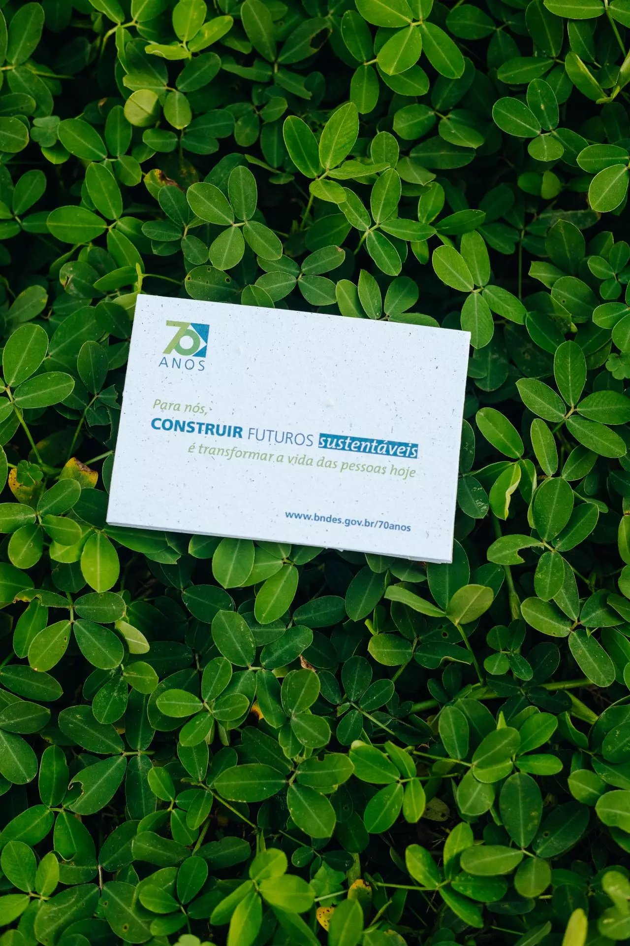 Cinta de Papel para Embalagens Ecológicas