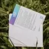 Convite Ecológico de Confraternização | Papel Semente