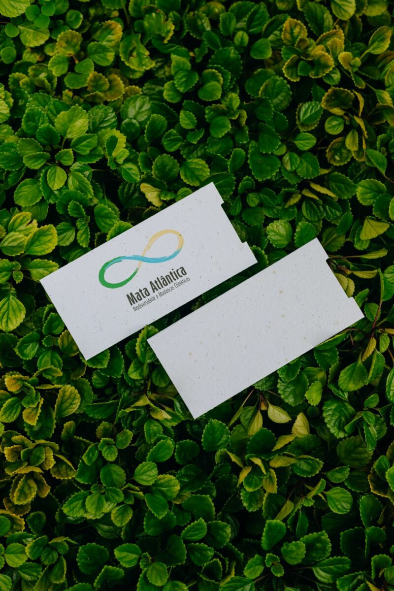 Envelope para Convites Ecológico | Papel Semente