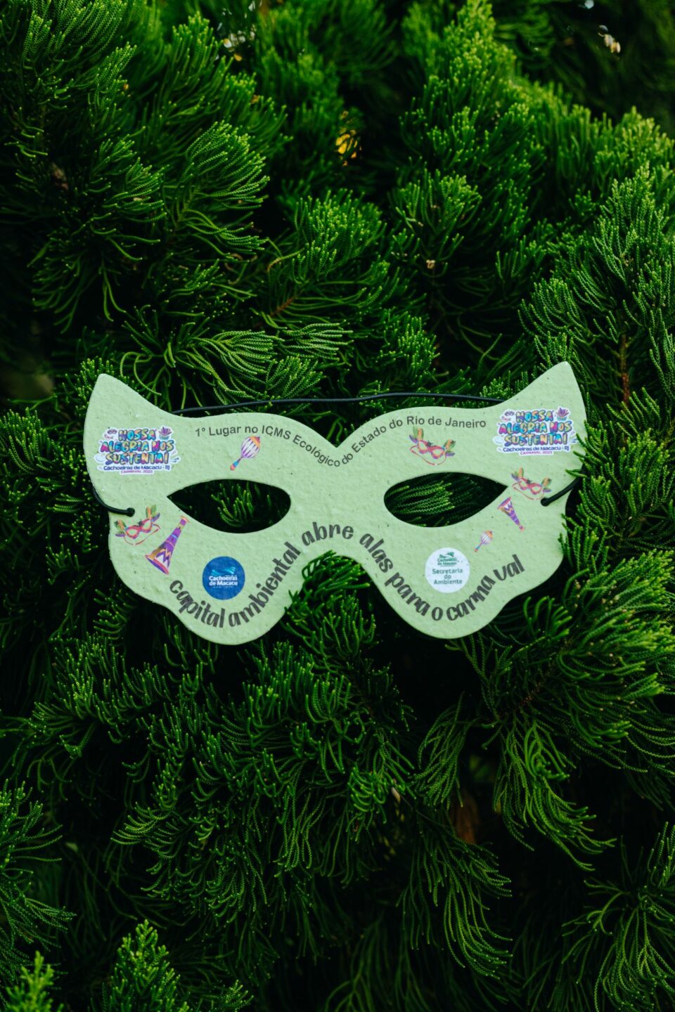 Máscara de Carnaval de Papel Sustentável | Papel Semente