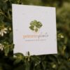 Ideias de cartão de natal sustentável - Papel Cartão Ecológico | Papel Semente