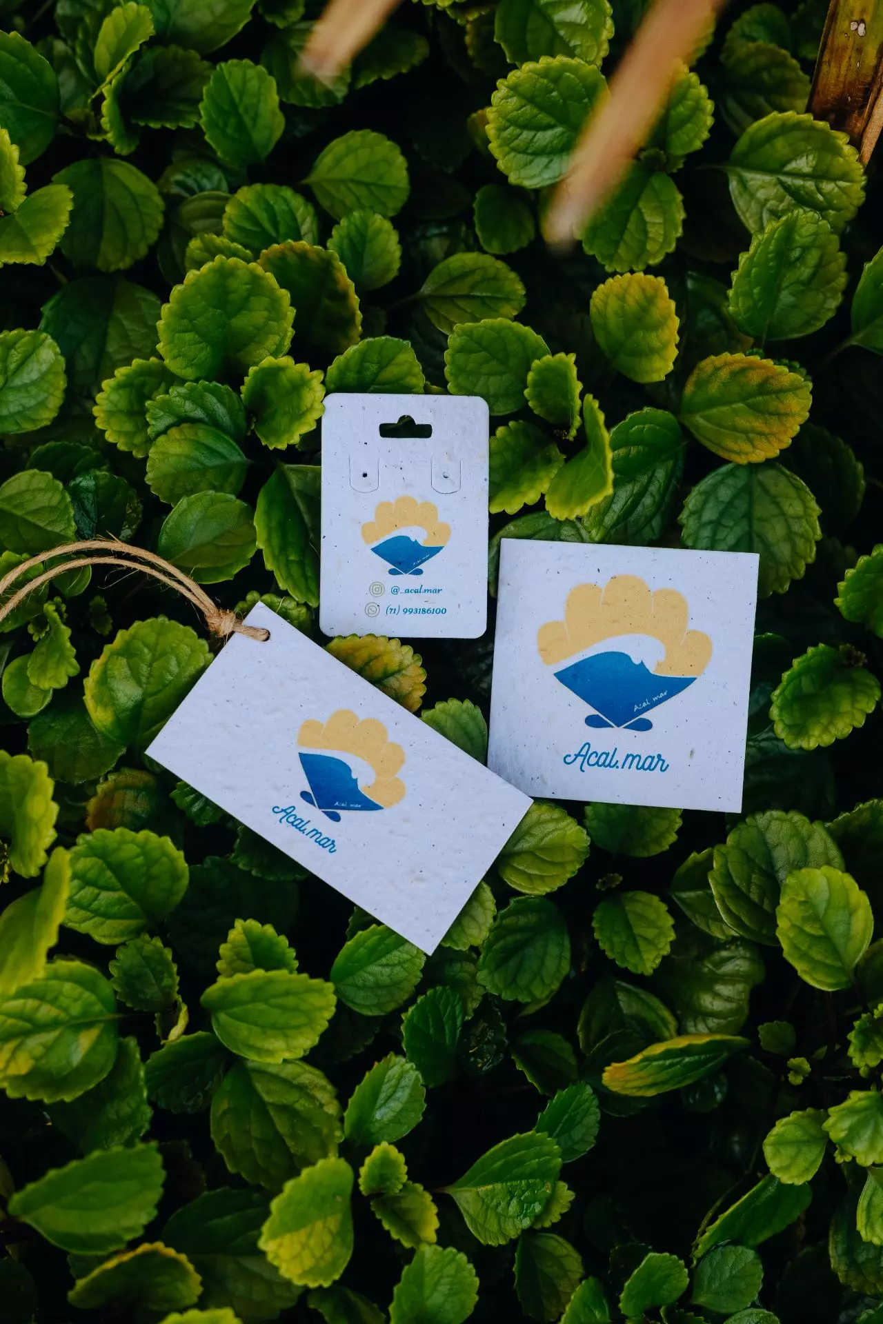 Tag e Kit para Brincos e Bijoux Sustentável