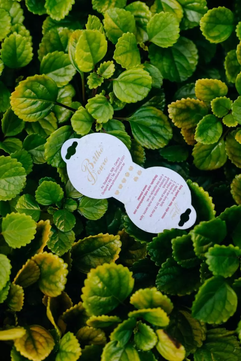 Tag para Brincos Personalizadas Ecológicas | Papel Semente
