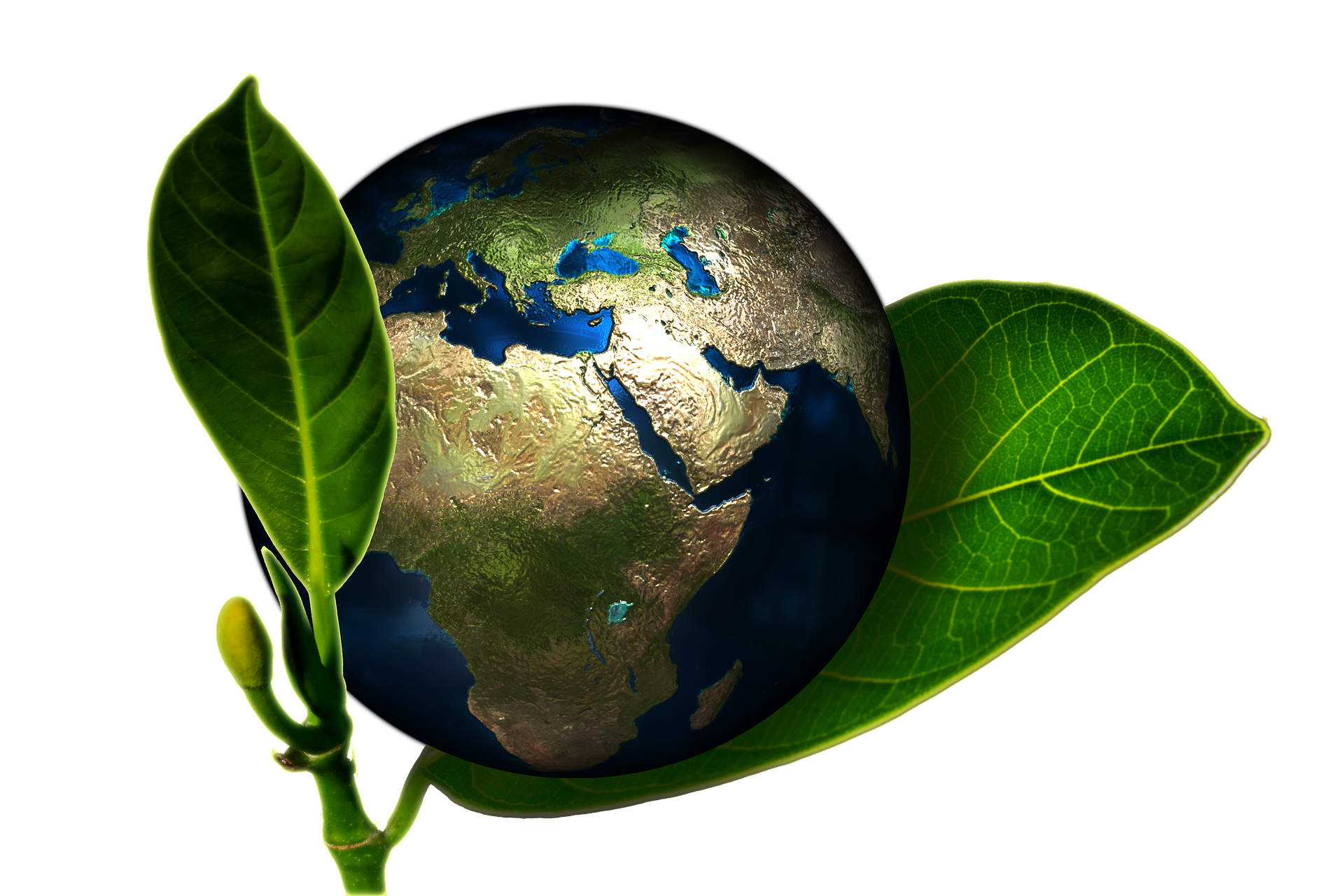Dia do Planeta Terra: 7 hábitos para você ajudar o meio ambiente