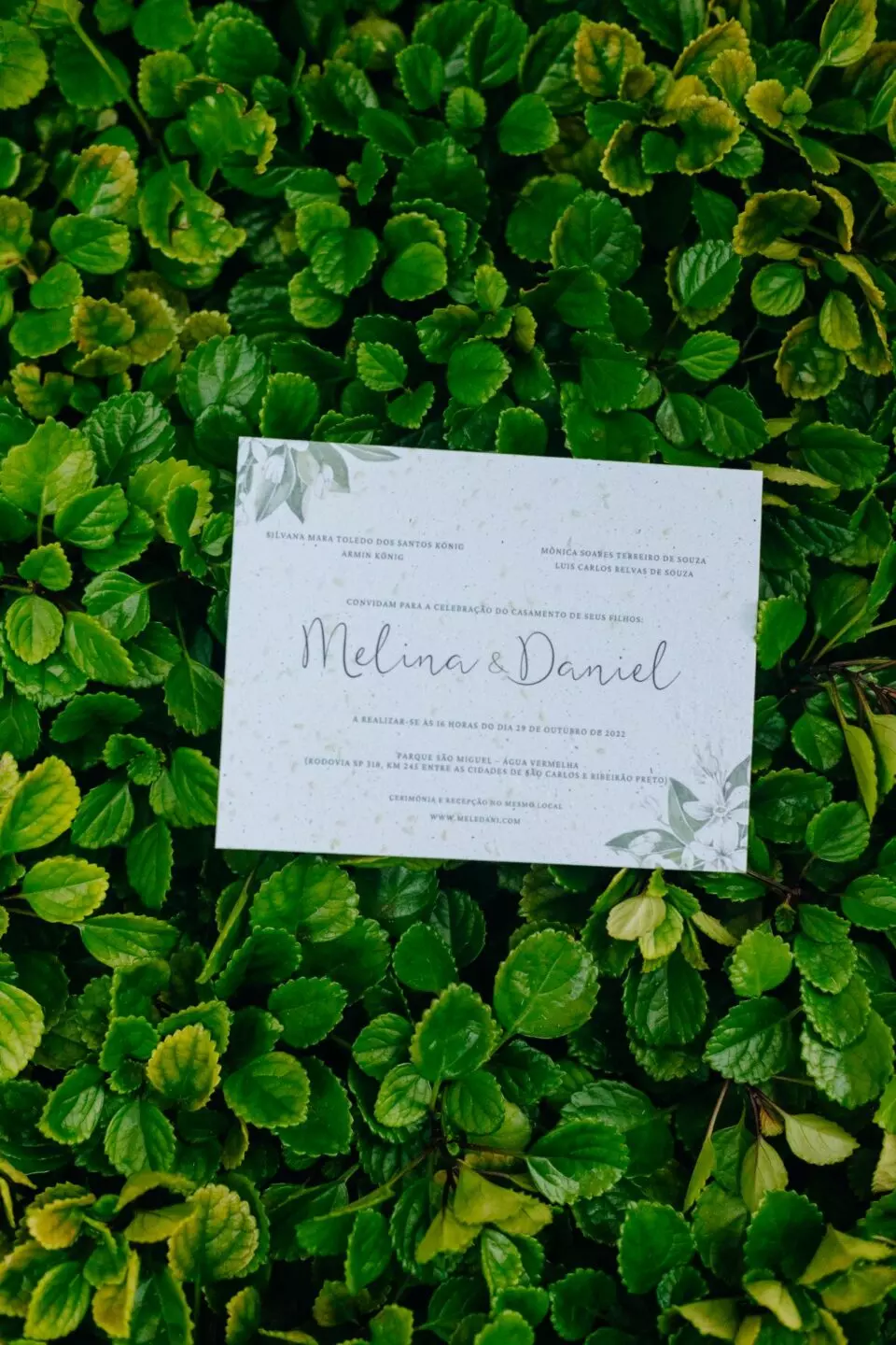 Convite de Casamento Anni Ecológico | Papel Semente