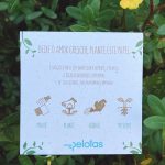 Cartão Para Dia Das Mães Criativo - Plante essa Ideia!