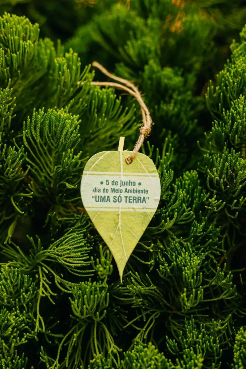 Tag Folha P - Etiqueta Biodegradável Sustentável