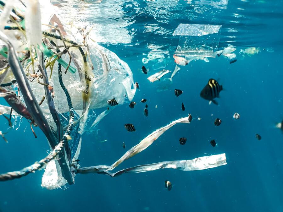 lixo/plástico no fundo do oceano perto de peixes, uma boa maneira de se pensar como implantar a sustentabilidade na empresa