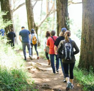 Atividade para o Dia do Meio Ambiente