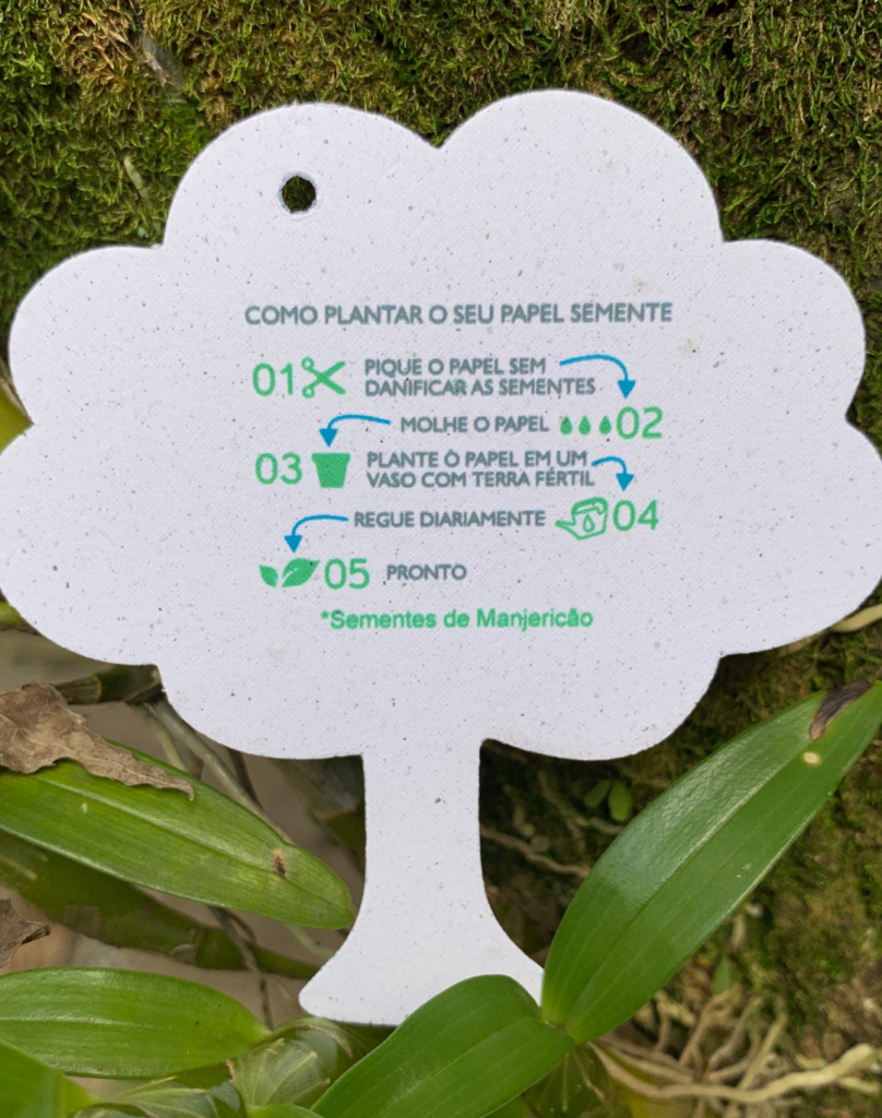 cartão em formato de árvore com informações com plantar papel semente