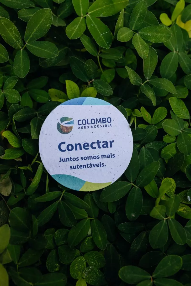 Cartão de Visita Diferente Ecológico | Papel Semente