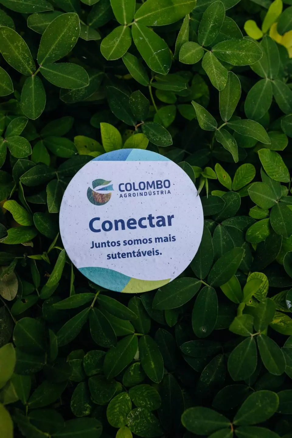 Cartão de Visita Diferente Ecológico | Papel Semente