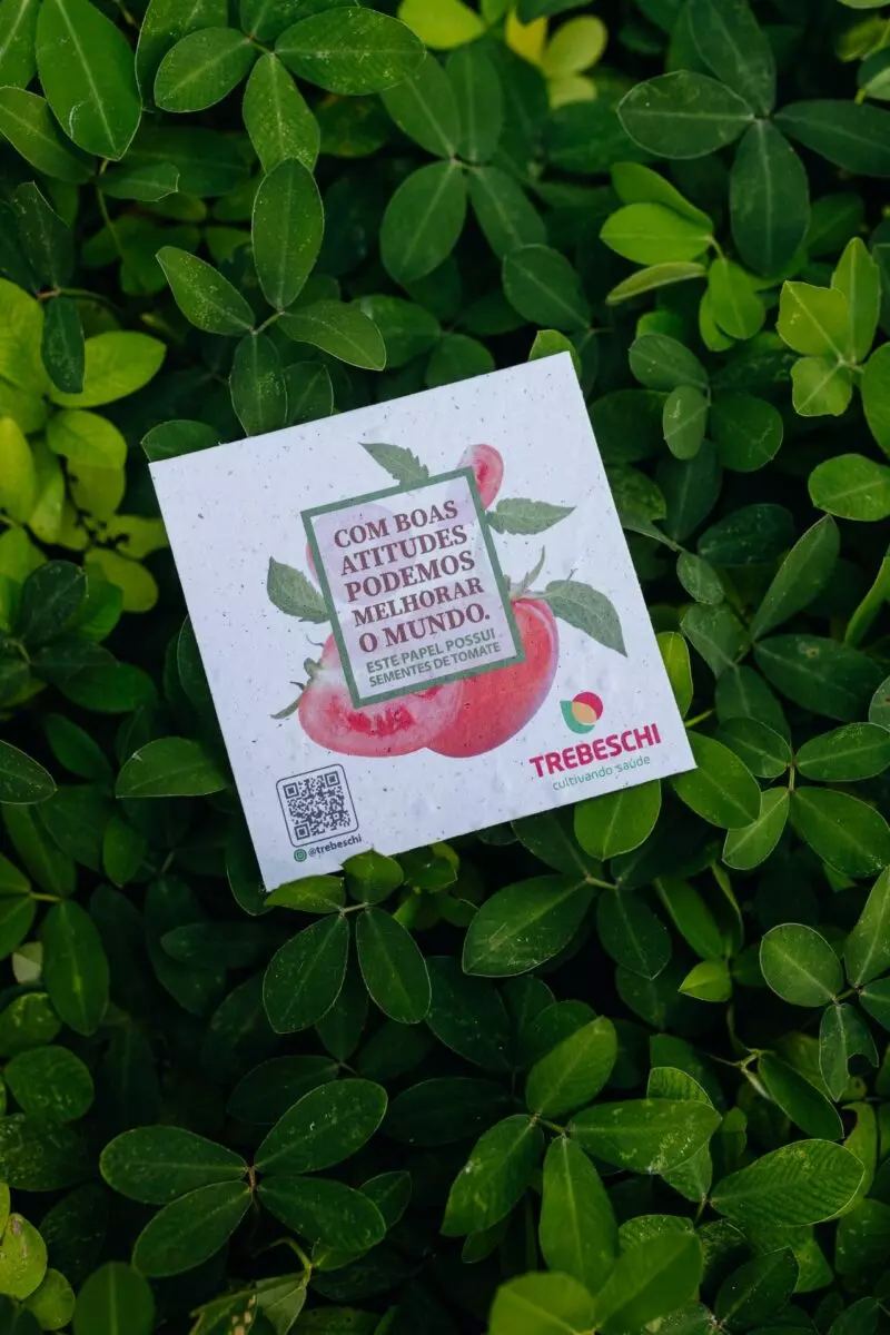 Cartão de Visita Papel Reciclado e Plantável | Papel Semente
