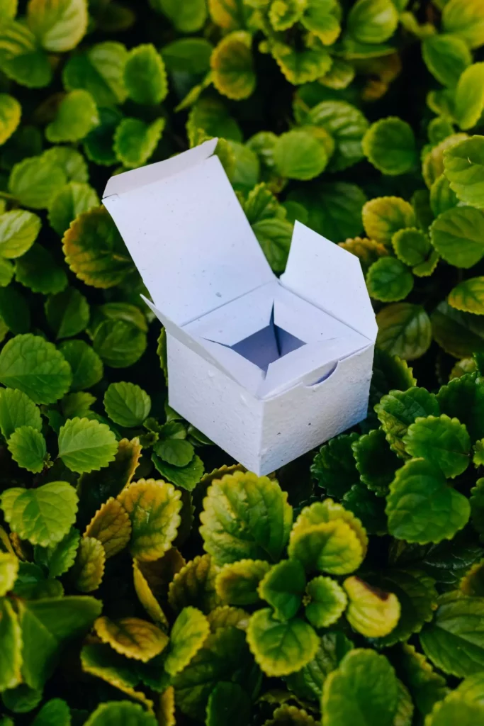 Embalagem apoiada em planta