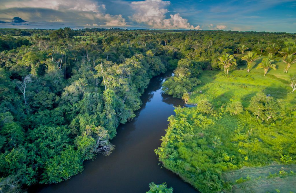 dia da amazônia atividades