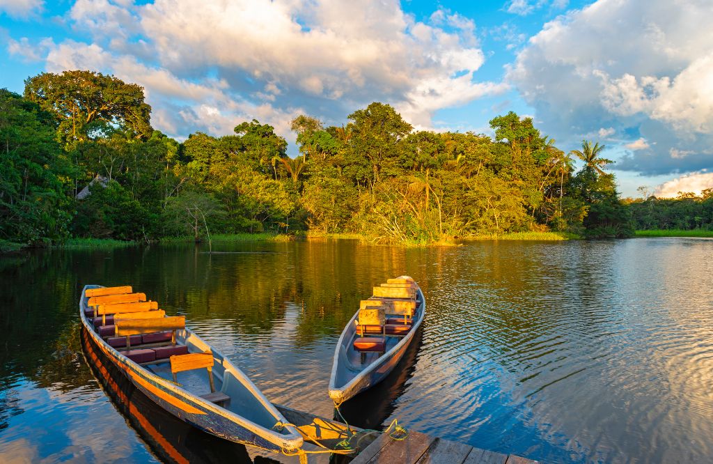 Dia da Amazônia com Papel Semente