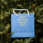 Sacola azul em planta para o Dia do Consumo Consciente