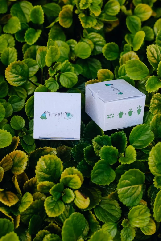 como ser mais sustentável em 2026