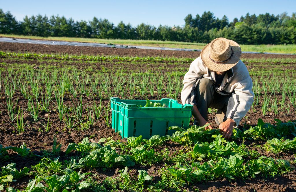 sustentabilidade empresarial