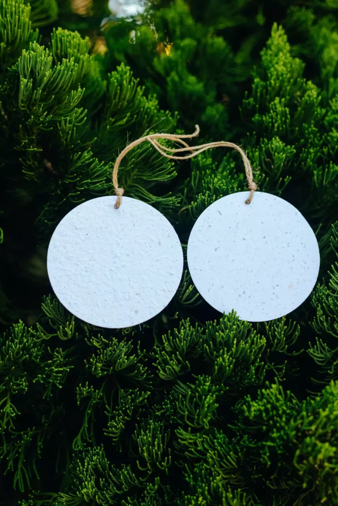 tags redondas para editar apoiadas em plantas