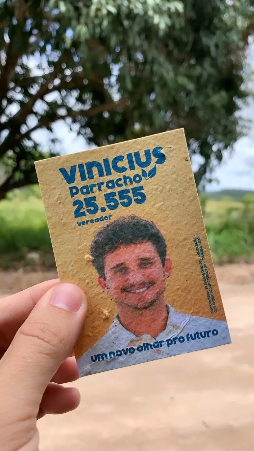 Santinhos Políticos
