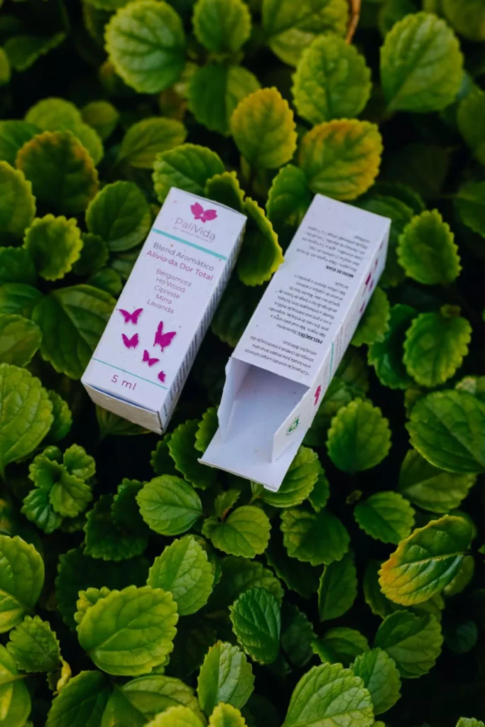 Onde comprar embalagem personalizada com caixinhas em planta