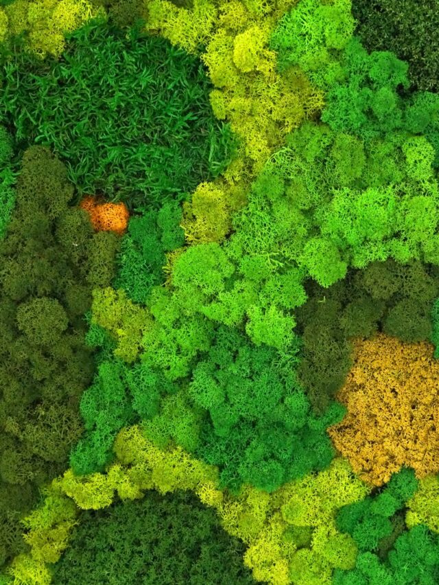 5 Tendências em Eco-Design Para 2025 Que Sua Empresa Precisa Conhecer