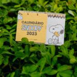 Onde comprar embalagem personalizada com calendário amarelo em planta