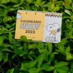 Onde comprar embalagem personalizada com calendário amarelo em planta