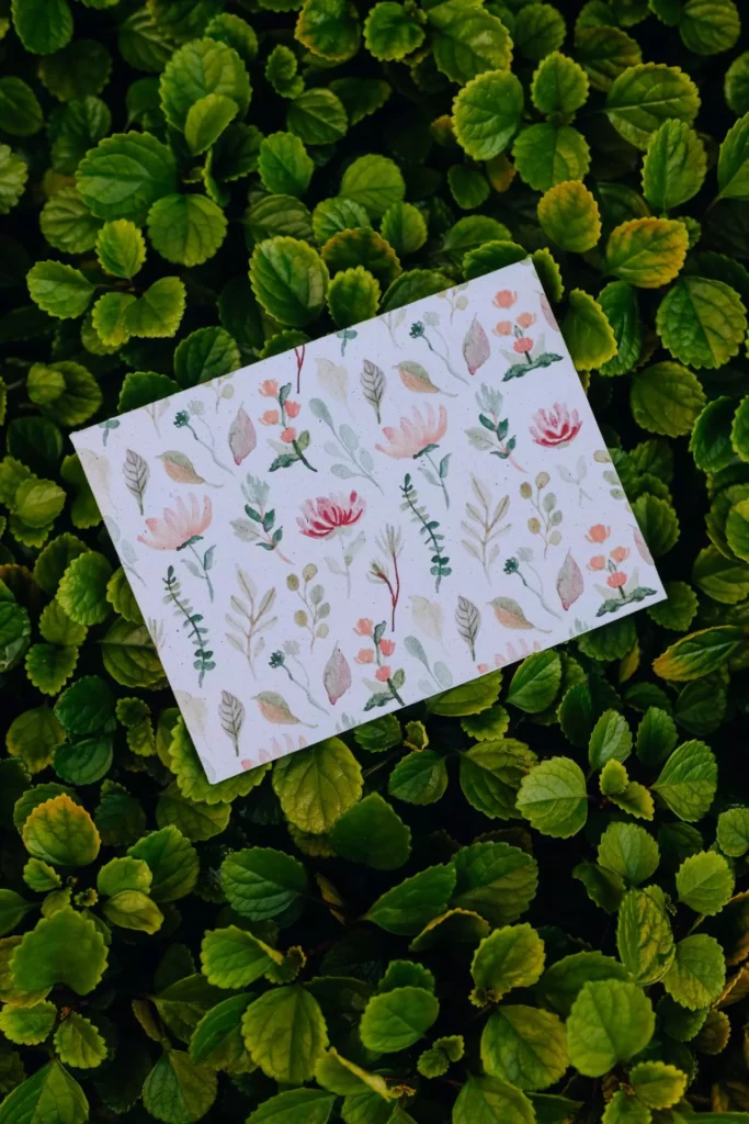 envelope decorado