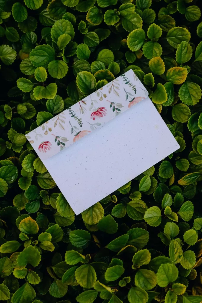 Onde comprar envelope ecológico