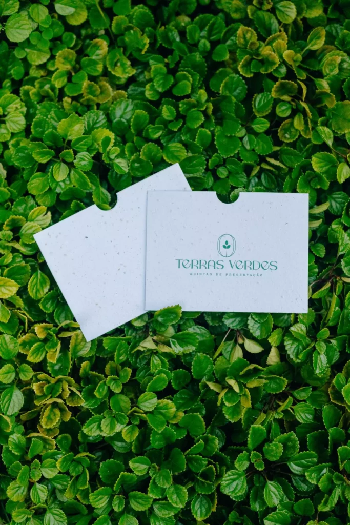 enevlope luva onde comprar envelope ecológico
