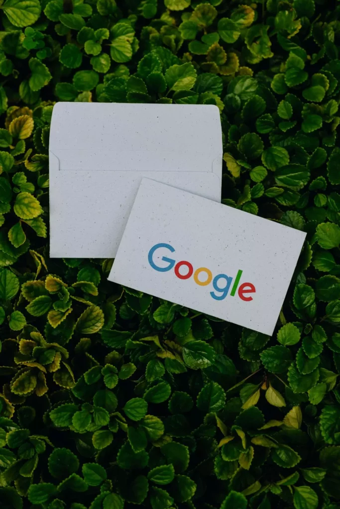 envelope e convite em planta
