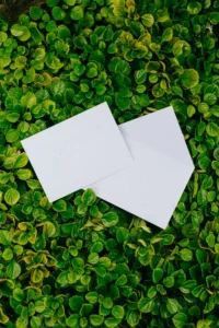 Onde comprar envelope ecológico