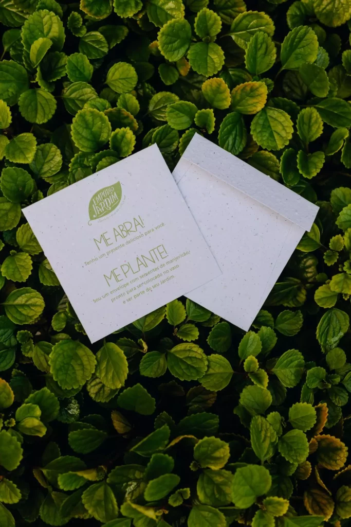 envelope e convite em planta