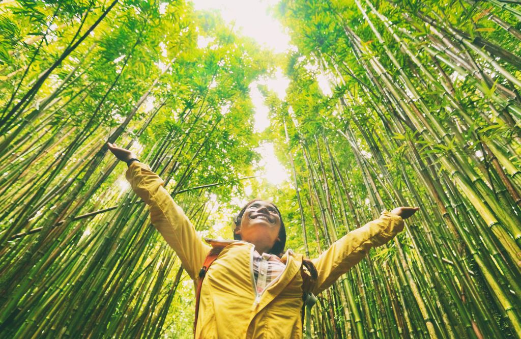 mulher em meio a bambuzal comemorando o Dia da Natureza