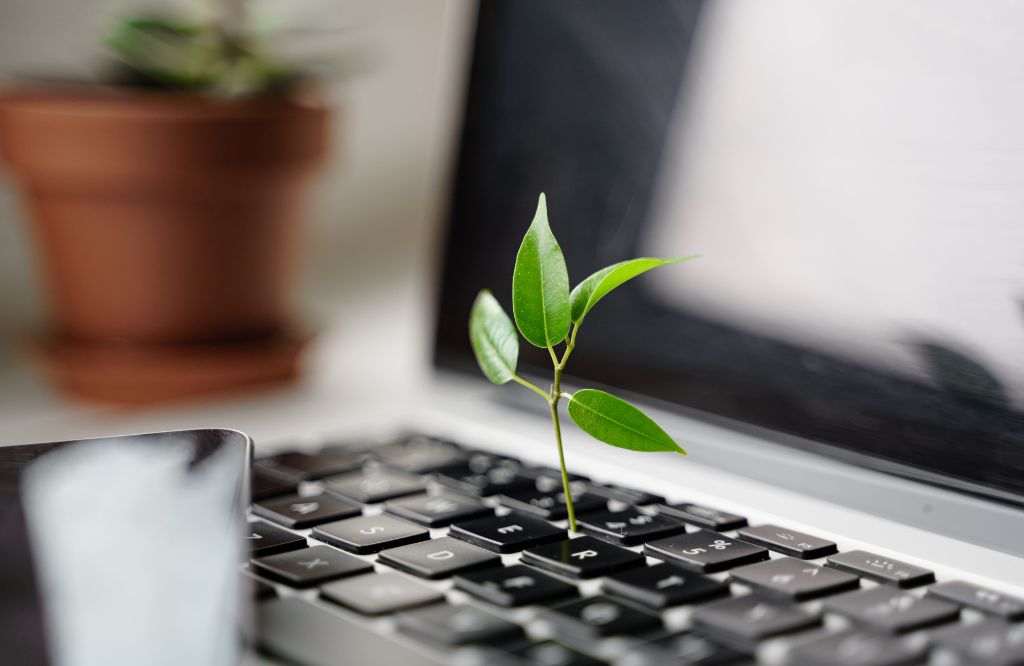 planta nascendo em computador no Dia da Natureza