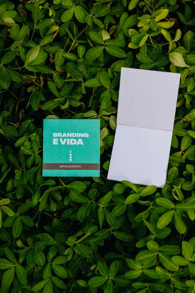 brindes sustentáveis apoiado em planta