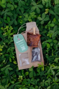 brindes sustentáveis apoiado em planta
