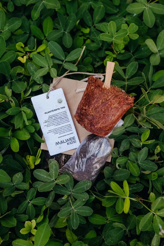kit sustentável e plantável