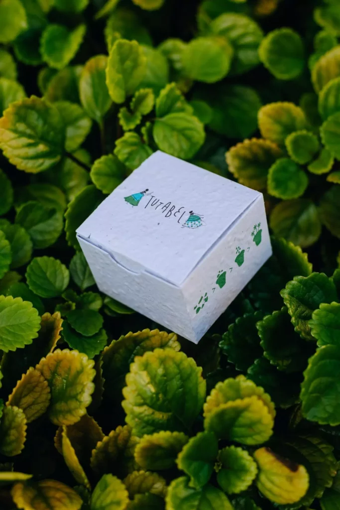 ideias criativas reciclagem
