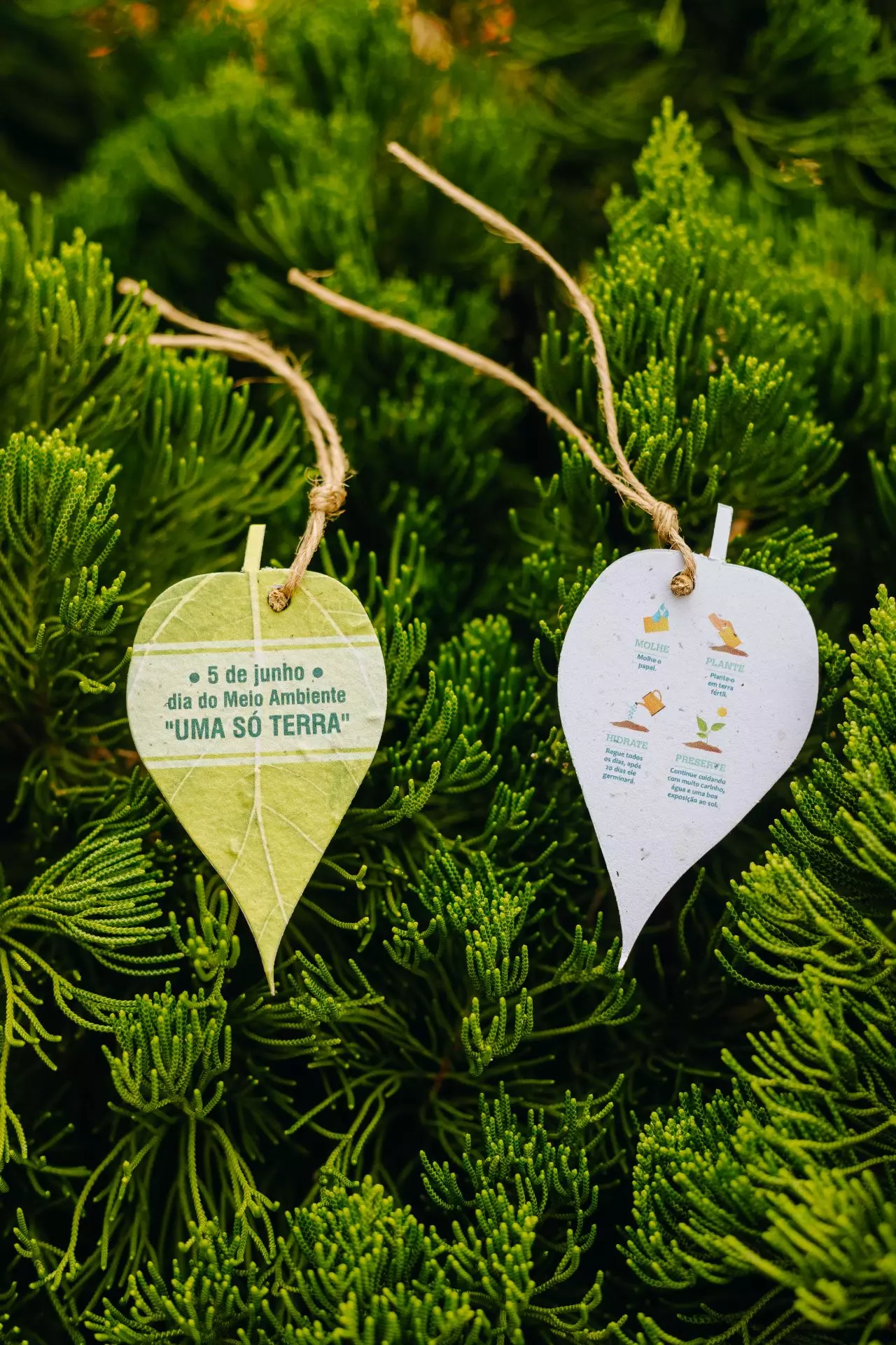 papelaria sustentável