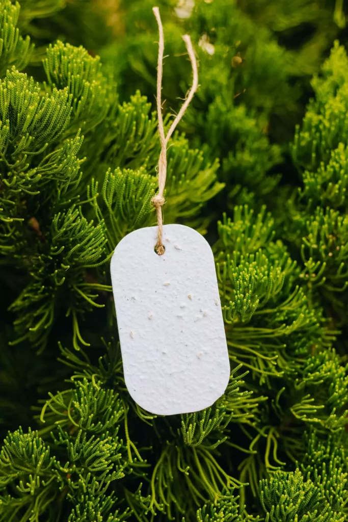 tags de roupas sustentáveis